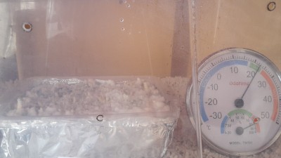 20160602_122128.jpg