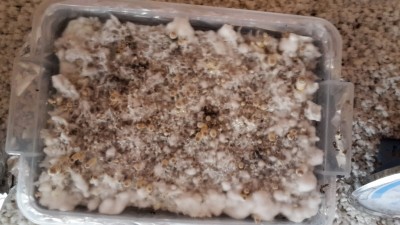 20160602_122224.jpg