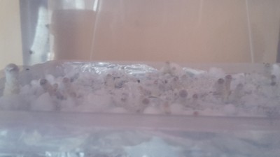 20160602_122252.jpg